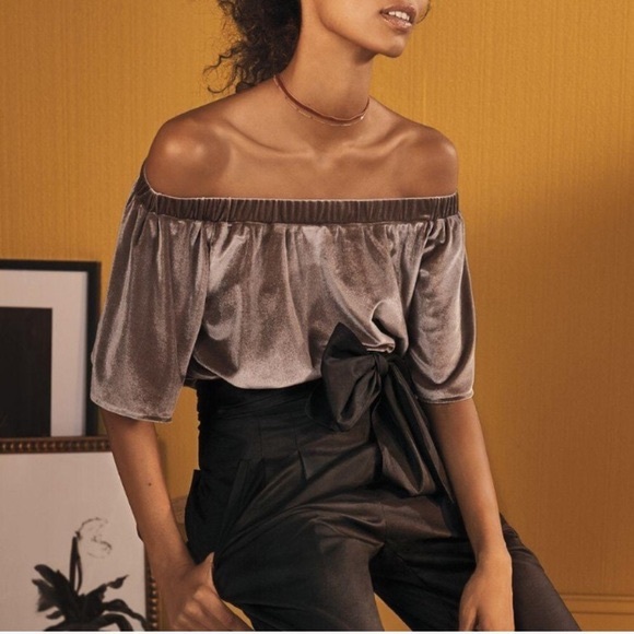 Anthropologie Tops - Sunday in Brooklyn Taupe Velvet Off Shoulder Top